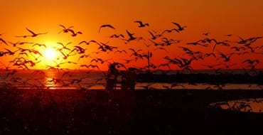 10 Year Comprehensive Plan