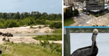 2025-2029 Strategic Plan