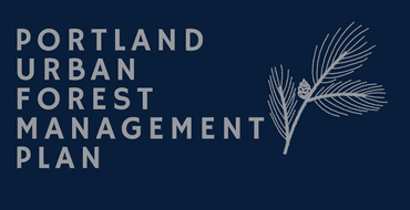 Portland Urban Forest Management Plan