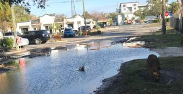 Washington Street Flooding