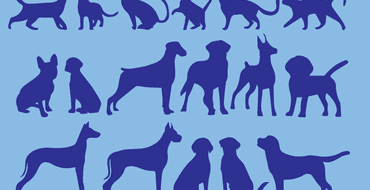 Lorain Safe Pets Initiative