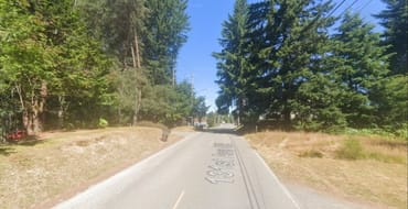 131st Ave NE is a two-lane asphalt road with yellow skip centerline striping, white edgeline striping, and vegetation along the shoulder.
