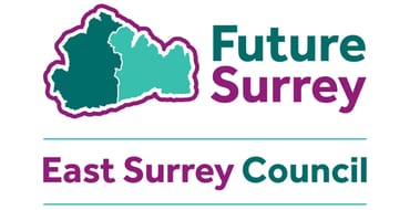 East Surrey Council Strategy - Stakeholder Engagement 
