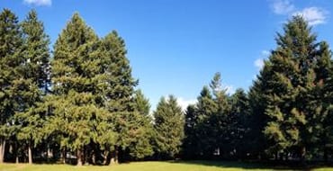 雷蒙德·E·谢弗社区公园开发