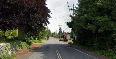 117th Ave NE, facing north from the 20th St NE intersection, is a two-lane road with yellow centerline, white edgeline, narrow shoulders, overhead utilities and vegetation/trees on both sides, and a rockery wall on the west side.