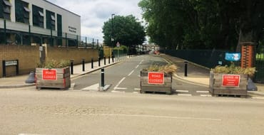 street filtered with planters