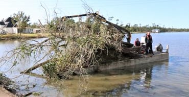 Drainage Lateral Cleanout Project