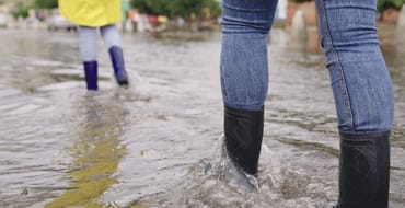 Horton's Branch Watershed Master Planning