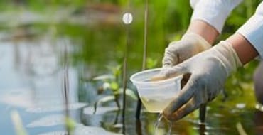 Green Infrastructure Feasibility Study