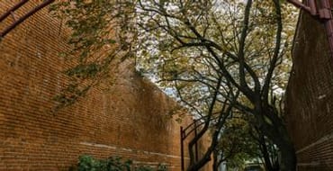 Honoring Our Roots: The Warren County Nursery Heritage Project