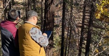 Rapid Assessment Tool for Forested Landowners
