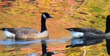 2017 Project 6: Highway 74 at N. Kedron Drive- Left Turn Lane