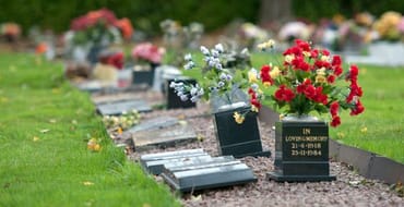 Burials and cremations in Hertsmere