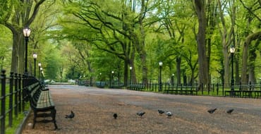 የፓርኮች እና መዝናኛ መምሪያ