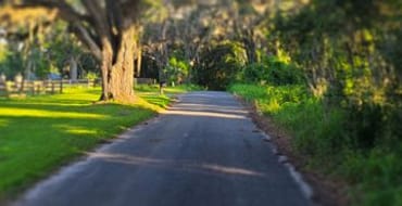 Old Bellamy Road North of County Road 236