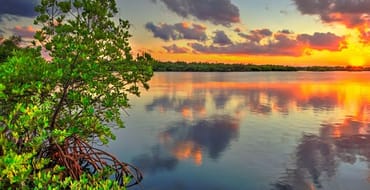 MacArthur Beach State Park at sunset.