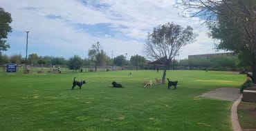 Chaparral Dog Park Improvements Feedback