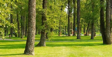 Open Space and Recreation Plan