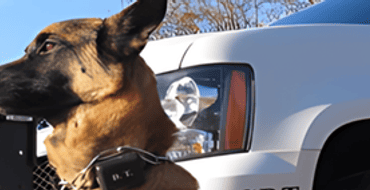 2023 Project 19 - K-9 Additions and Replacements