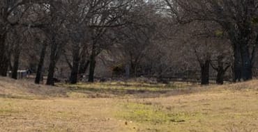 Chalmers Wastewater Line