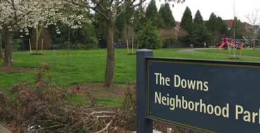 唐斯公园 ARPA 改进