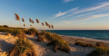 Nantucket Retreat and Relocation Program  Virtual Public Workshop Survey  
