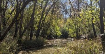 Hickory Creek Trail Master Plan