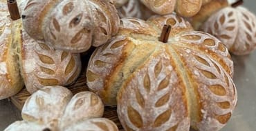 Share Your Thoughts on Sugar Land's Night Market Experience