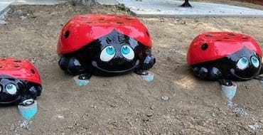 New Sensory Playground and Garden in Presidents Park