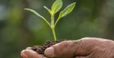 Environmental Protection