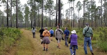 People walking on a trail