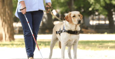 Shaping the Regional Accessibility Plan