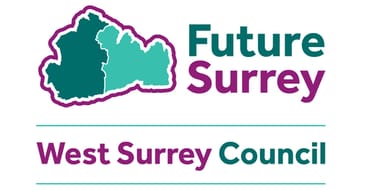 West Surrey Council - Stakeholder Engagement Survey