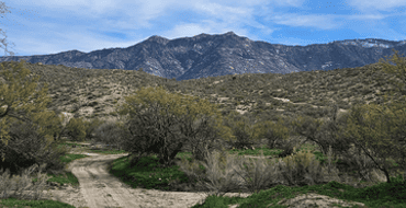 Catalina Regional Park