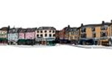 Annual Town Survey 2022