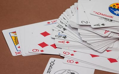 2c311c75-c98a-4ec9-908b-912c88dfd4d9.jpg