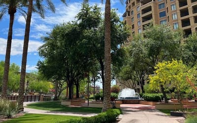 Comment on the Appendix.