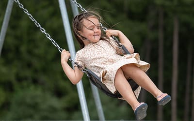 Cedar Heights Playground Survey