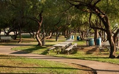 Smoking ordinance questionnaire