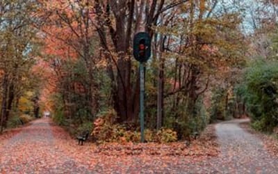 Share Your Insights on Constitution Trail Usage
