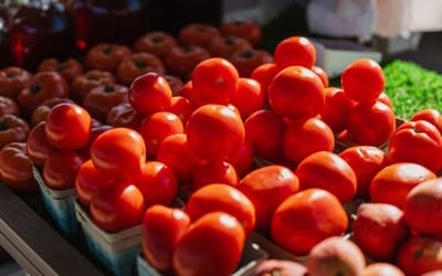 Grocery Market Analysis and Needs Assessment Engagement