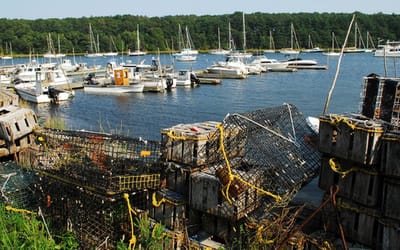 Please review the DRAFT Harbor Plan and tell us your thoughts and ideas on how to improve a boaters or recreational users experience in Greenwich Cove, based on your own experience?