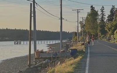Draft Island-Wide Mobility Plan Feedback Form