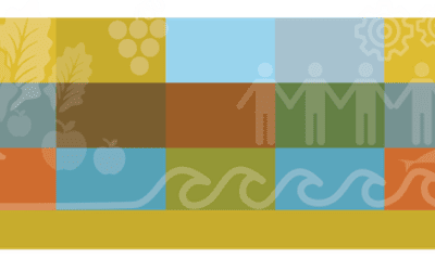 Share Your Thoughts on a Nova Scotia Circular Food Hubs Vision 