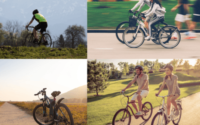 Bicycle Ambassador Application