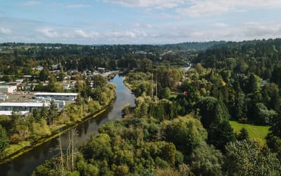 Trees and a river in Kenmore