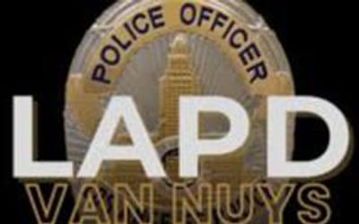 Van Nuys Sepulveda Prostitution Survey