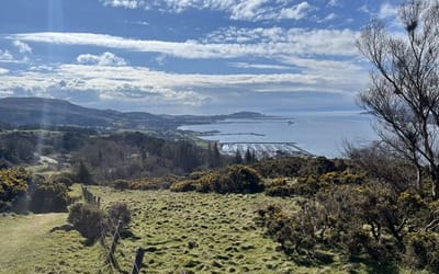 A view looking towards Largs Marina