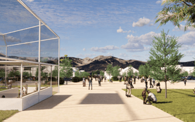 Central Park Stadium: Share Your Thoughts and Concerns