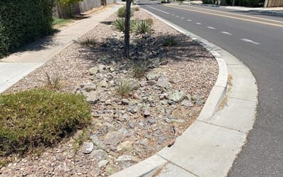 Comment on the Water Harvesting Guidelines section.